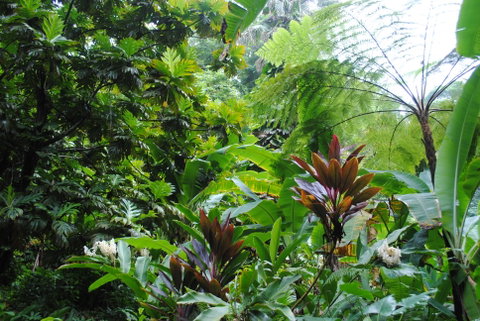 Diamond Botanic Gardens