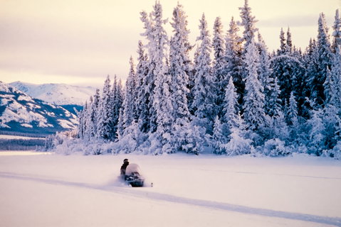 Winter Holidays holidays