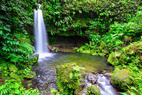 Dominica