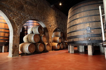 Wine Tasting with Tapas Walking Tour in Porto