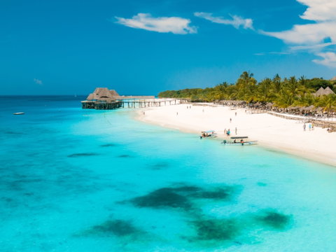 Zanzibar's Coast