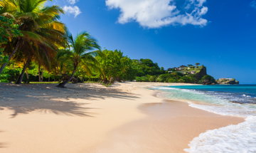 Miami & Grenada