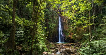 Amazing views of the  Syndicate Waterfalls, located on the edge of Syndicate Forest, Dominica