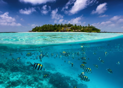 Indian Ocean Holidays