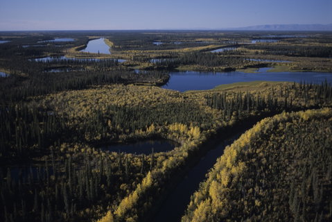 Mackenzie Delta Boat Tour