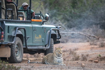 Pumba Half Day Safari Experience (Self Drive)