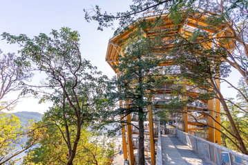 Malahat SkyWalk Admission