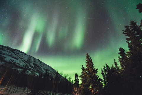 Northern Canada
