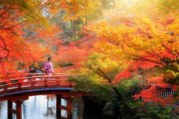 Cycling in Japan