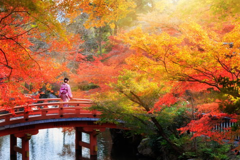Cycling in Japan