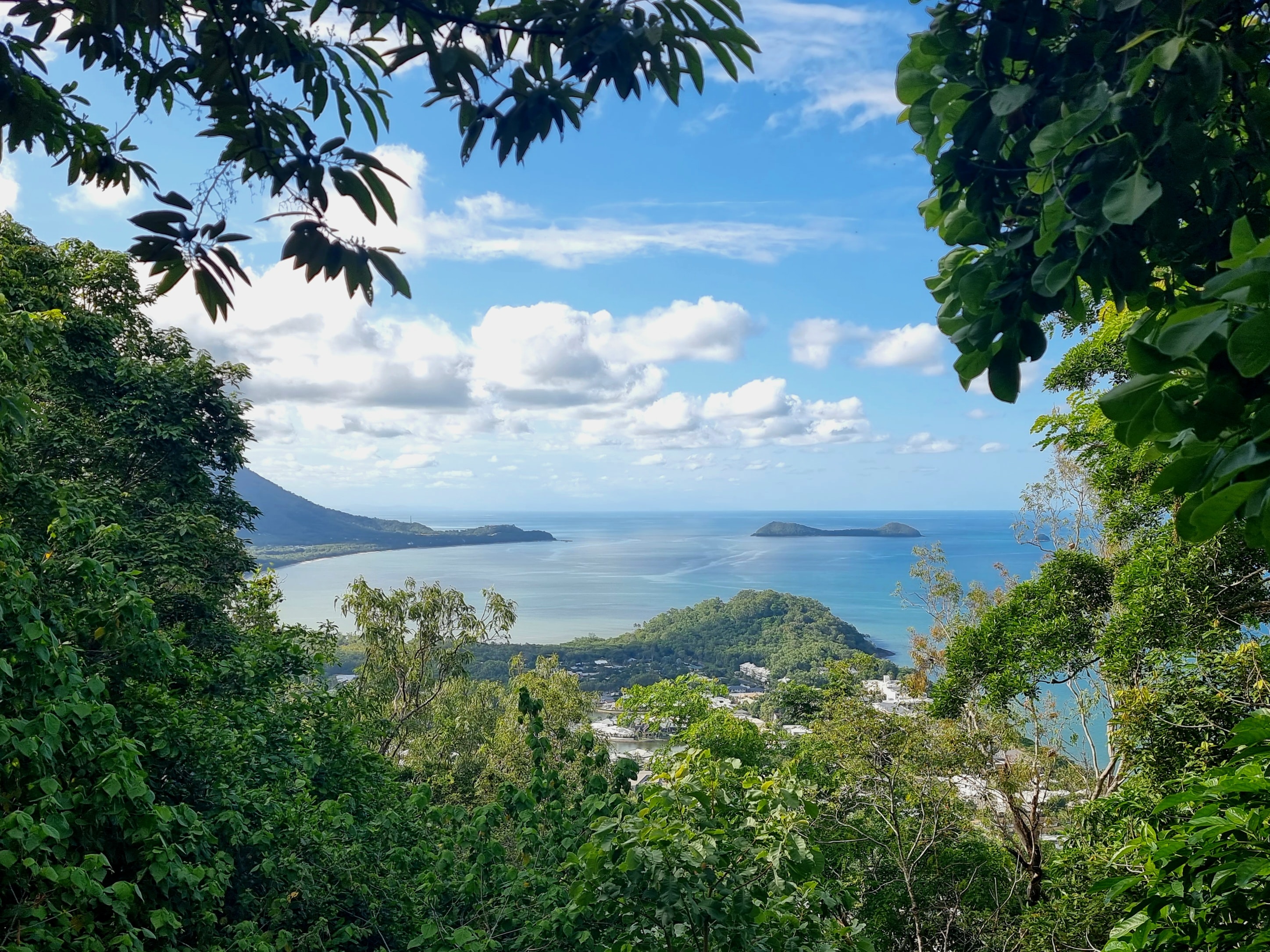 An aerial view of Cairns in Australia