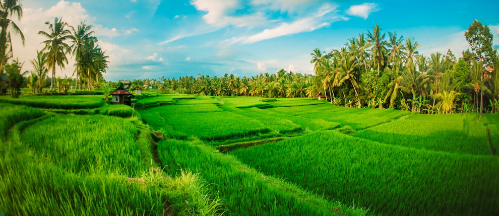 10 night Bali Getaway ONLY £1,299