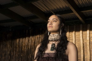 Maori Cultural Experience & Dinner