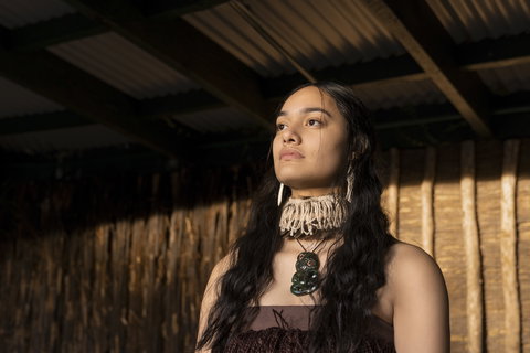 Maori Cultural Experience & Dinner