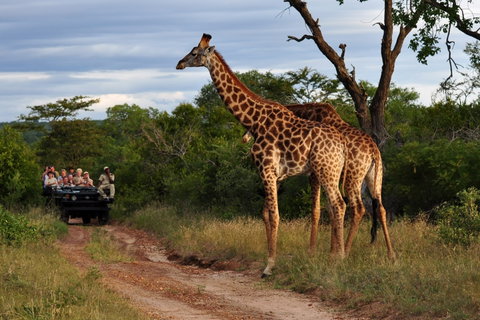 Small Group Safari holidays