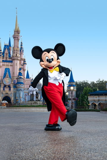 A Disney Dream is a Wish your Heart Makes
