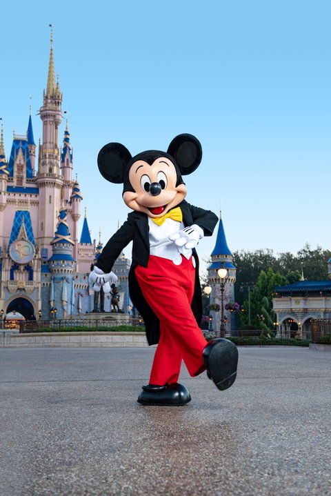 A Disney Dream is a Wish your Heart Makes