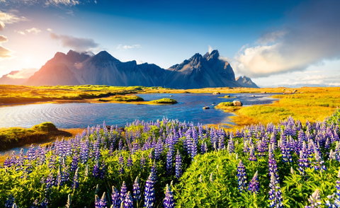 Natural Wonders of Iceland