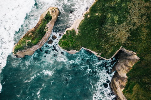 Dunedin & Otago Peninsula