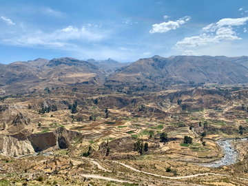 Stepped terraces in Colca Canyon, Peru