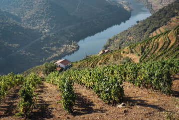 Portugal's Cities, Scenery & Coast