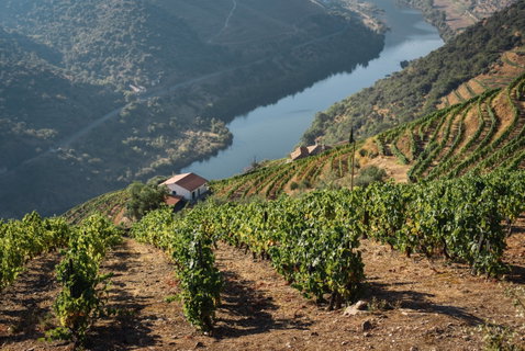 Portugal's Cities, Scenery & Coast
