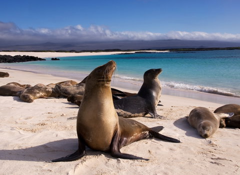 Private Touring holidays