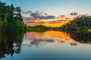 Colombian Amazon