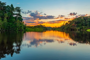 View of river in Amazon Rainforest
