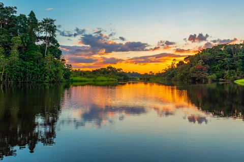 Wild Ecuador - Amazon & Galapagos