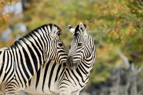 Guided Small Group Adventure Touring holidays