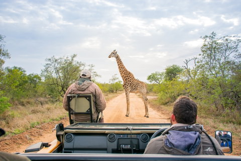 Thornybush Nature Reserve