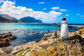 Ultimate Family Adventure - South Africa