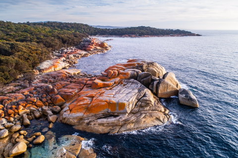 Enchanting Tasmania