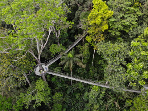 Highlights of Guyana