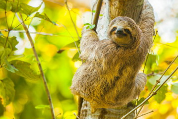 Toronto & Costa Rica
