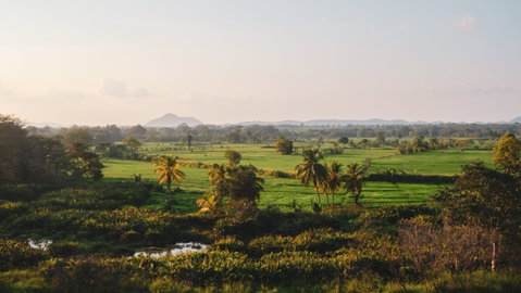 Village Trail
