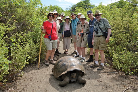 Land Tours