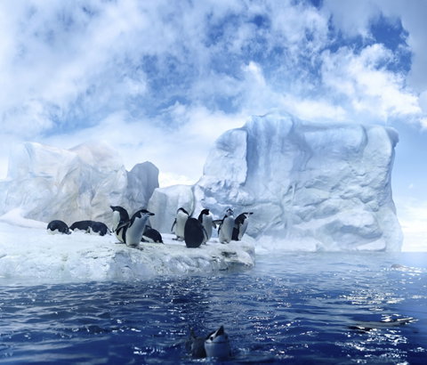 The Great White Continent (Seabourn)