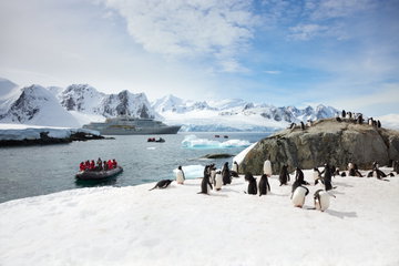 Antarctica, the Falklands & South Georgia