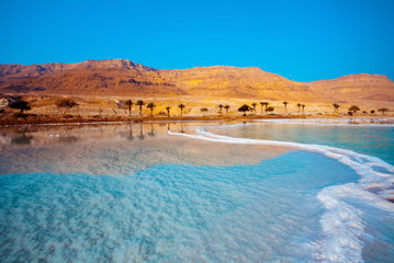 Dead Sea Seashore With Palm Trees And Mountains On Background, Jordan.