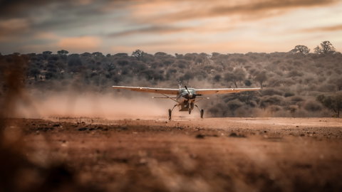 Luxury Tanzania SkySafari with Elewana
