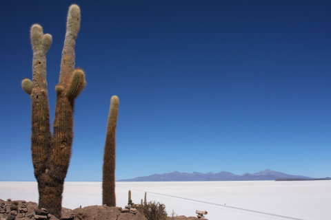 Bolivia 