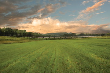 African Collage by Luxury Rail