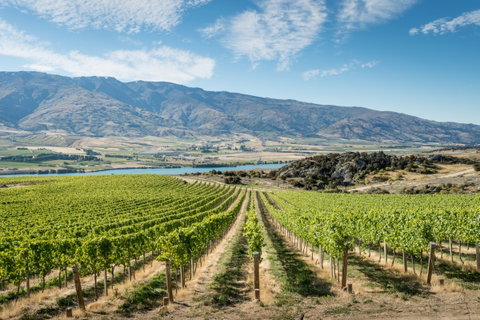 Central Otago's Boutique Wineries