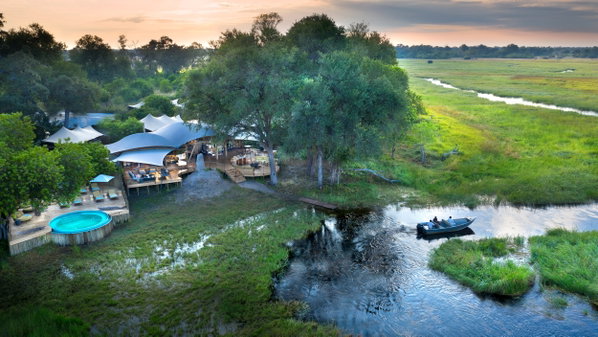 Khwai Leadwood, Okavango Delta