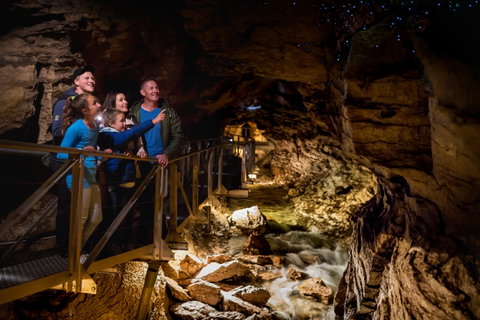 Te Anau Glowworm Caves