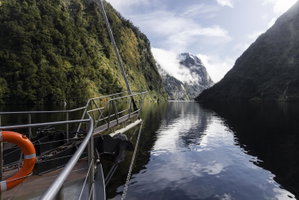 Doubtful Sound Day Tour - Coach Cruise Coach