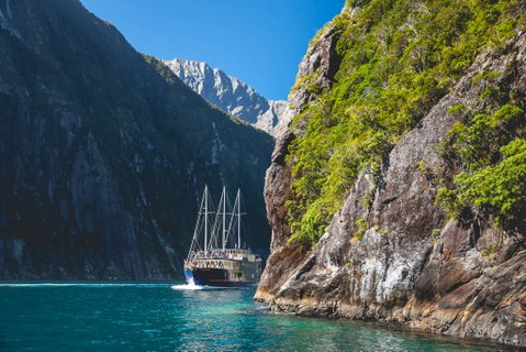1 Night Milford Sound Cruise