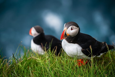 Faroe Islands